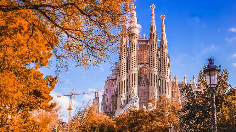 Barcelona s Lady Travel