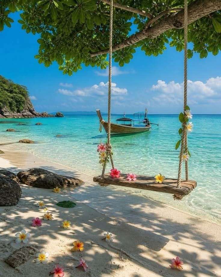 Seychely s Lady Travel
